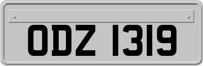 ODZ1319