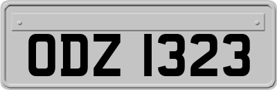 ODZ1323