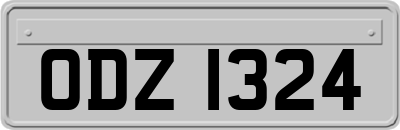 ODZ1324