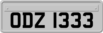 ODZ1333