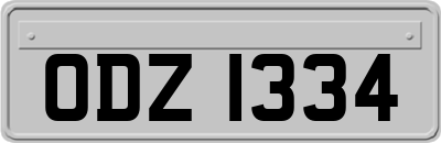 ODZ1334