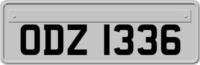 ODZ1336