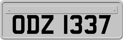 ODZ1337