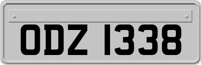 ODZ1338