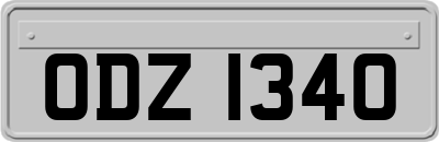 ODZ1340
