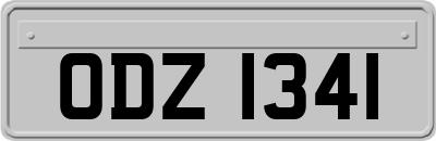 ODZ1341
