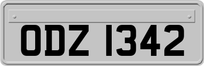 ODZ1342