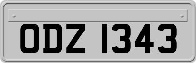 ODZ1343