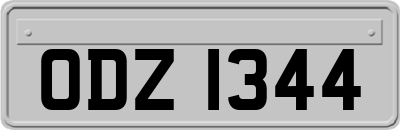 ODZ1344