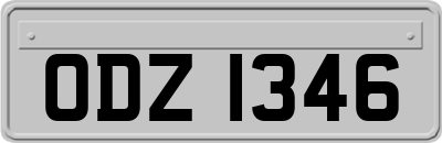 ODZ1346