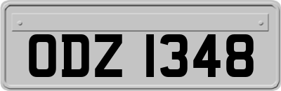 ODZ1348