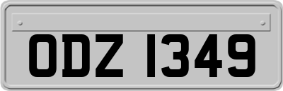 ODZ1349