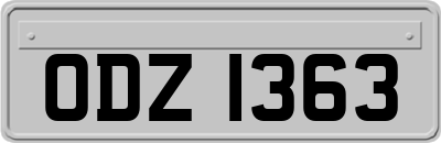 ODZ1363