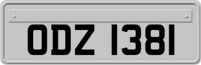 ODZ1381