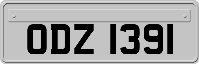 ODZ1391