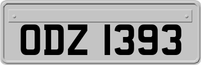 ODZ1393