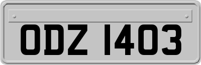 ODZ1403