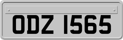 ODZ1565
