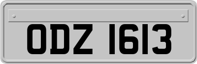 ODZ1613