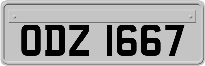 ODZ1667