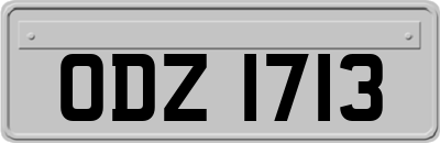 ODZ1713