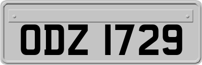 ODZ1729