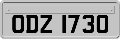 ODZ1730
