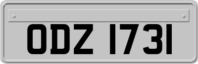 ODZ1731