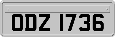 ODZ1736