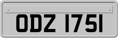 ODZ1751