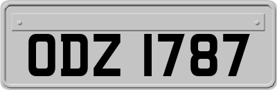 ODZ1787