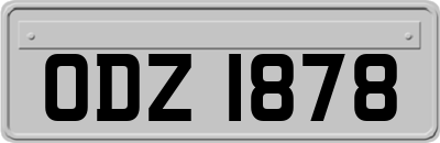 ODZ1878