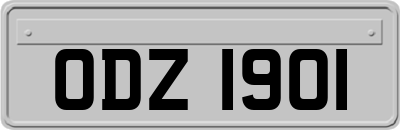ODZ1901