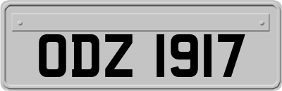 ODZ1917