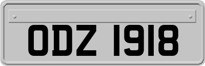 ODZ1918