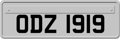 ODZ1919