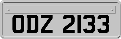 ODZ2133