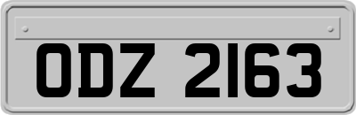 ODZ2163