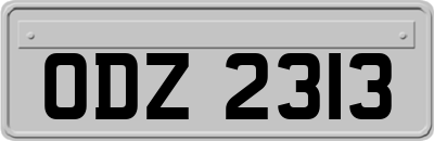 ODZ2313