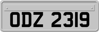 ODZ2319