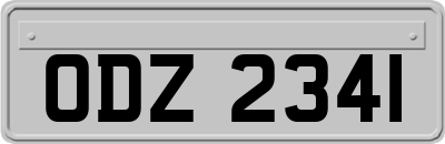 ODZ2341