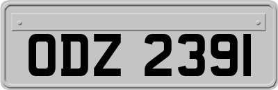 ODZ2391