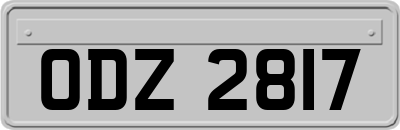 ODZ2817