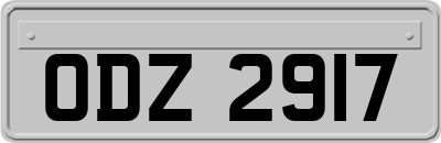 ODZ2917