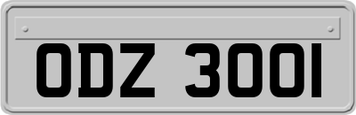 ODZ3001