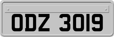 ODZ3019