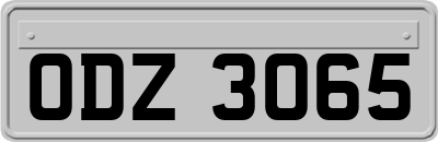 ODZ3065