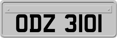 ODZ3101
