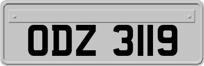 ODZ3119