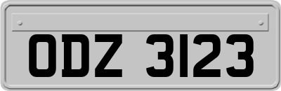 ODZ3123